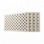 Perforated Acoustic Wood Panels For Lecture Hall
