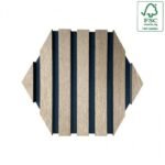 Sound and Decor Harmony with Hexagonal Akupanel